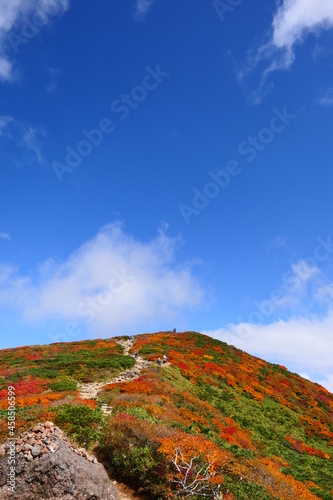 栗駒山の紅葉。栗原、宮城、日本。10月上旬。