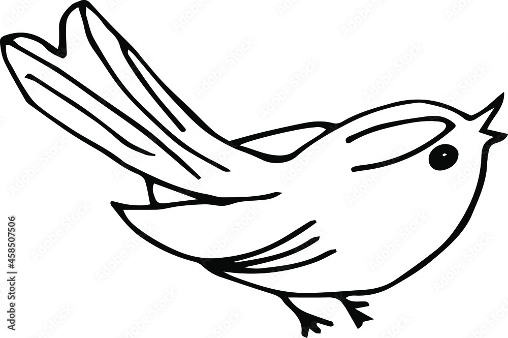 Vector doodle bird. A hand-drawn tit sketch. Bird cartoon illustration. Vector doodle bird. A hand-drawn tit sketch. Bird cartoon illustration.
