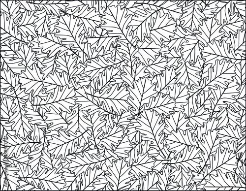 Black and white vector autumnal pattern of black outline oak leaves isolated on white background