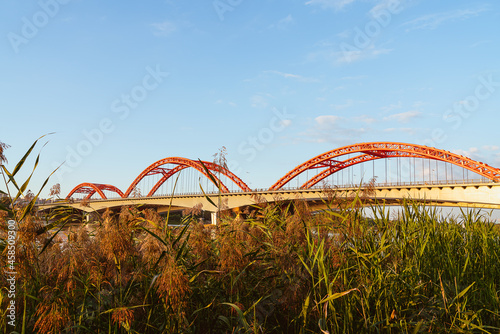 red bridge in the park