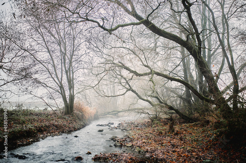 Herbststimmung am Fluss © GD schaarschmidt
