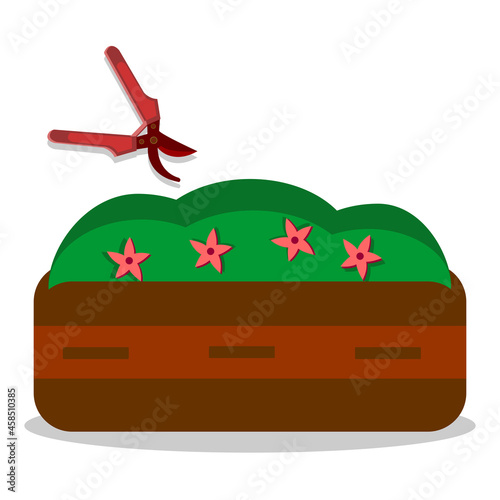 vector illustration of a wooden flower bed with flowers and a pruner for plants