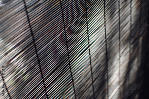 Wallpaper Mural Brown straw blinds at window close up. Low DOF. Selective focus. Torontodigital.ca