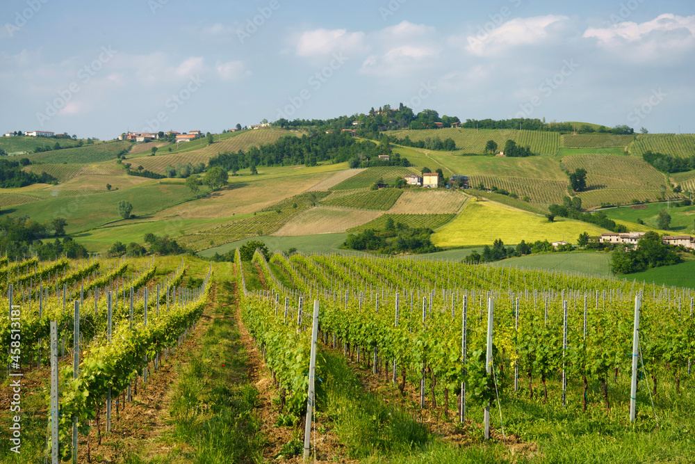 Rural landscape near Pianello Val Tidone, Emilia-Romagna, at May
