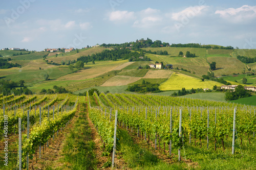 Rural landscape near Pianello Val Tidone  Emilia-Romagna  at May