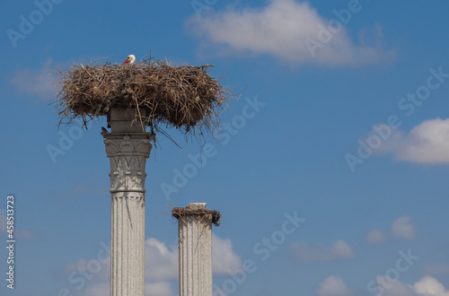 Distyle of Zalamea replica with stork nest on top. Extremadura, Spain photo