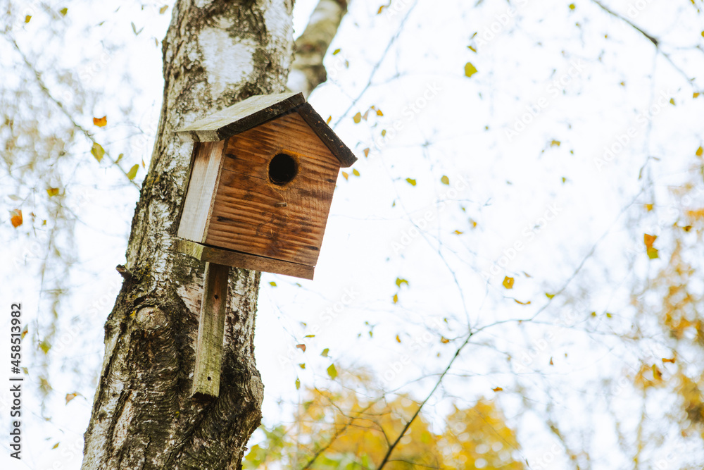 birdhouse on the tree birdhouse on the tree