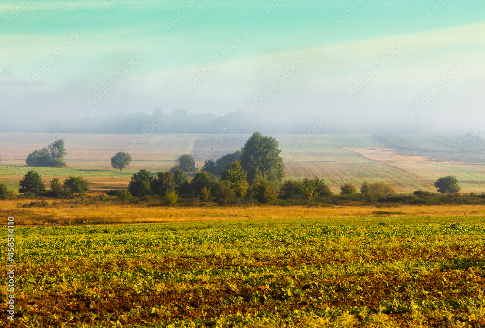 Rural landscape, sunny morning, partial haze of fields, meadows and trees.