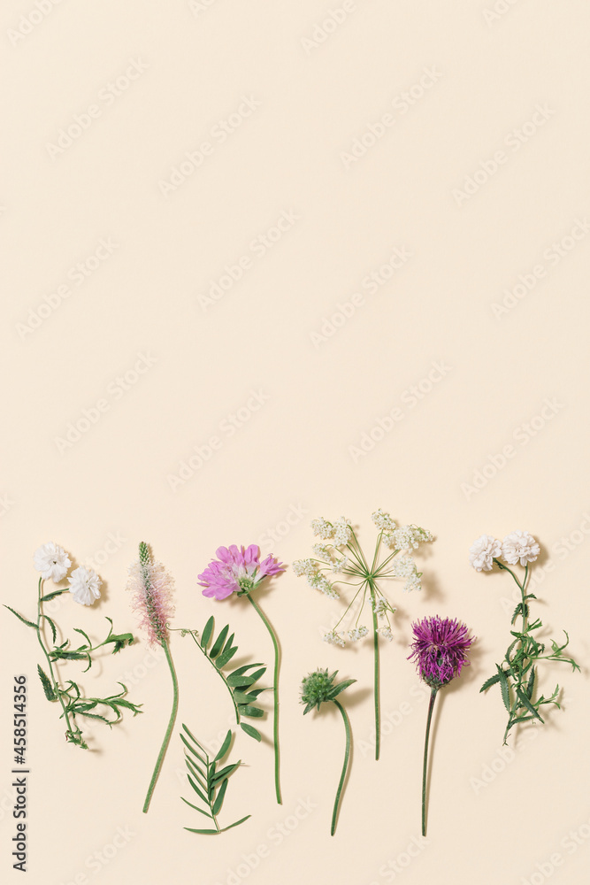 Natural summer composition from wild flowers and grass Meadow, field and forest blooming and green plans