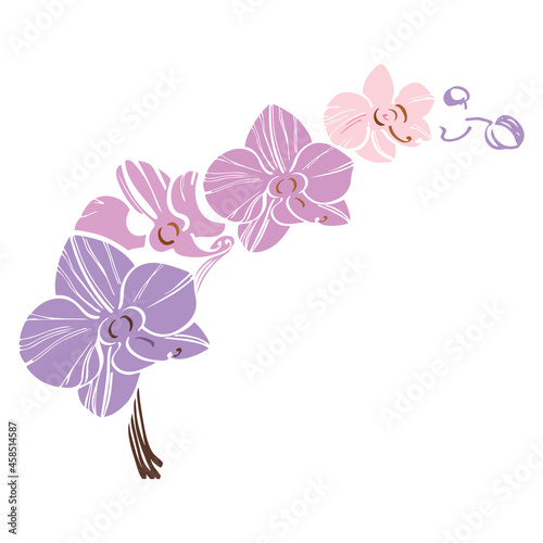 isolated element orchid branch phalaenopsis purple silhouette applique tattoo outline vector