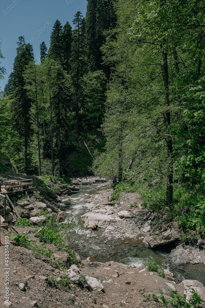 Nature Nature