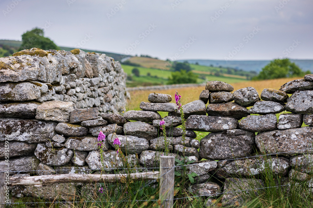 Traditional Dry Stone Wall Dartmoor Devon England