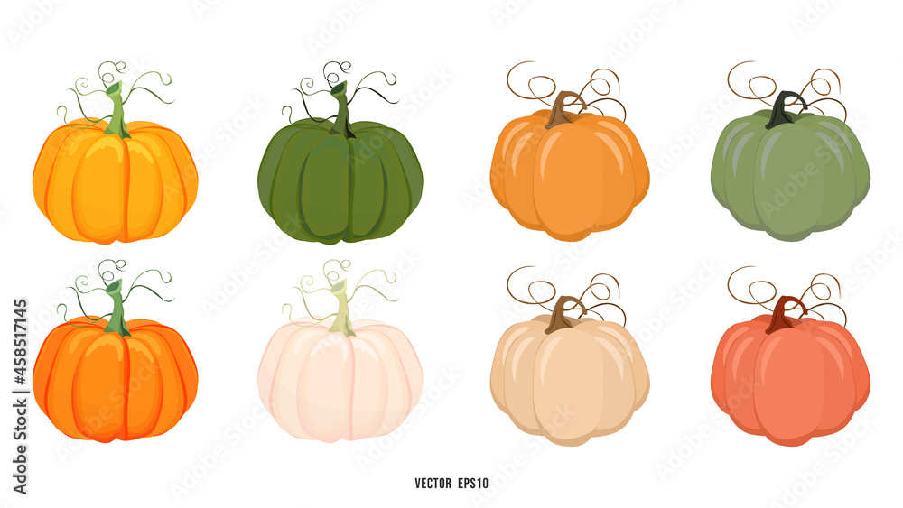 Set of pumpkins that come in a variety of colors from green to edible ripe orange isolated background for content online or web, banner and template ,Flat cartoon flat style.illustration Vector EPS 10