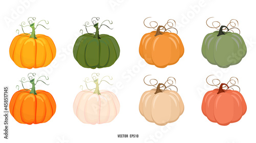 Set of pumpkins that come in a variety of colors from green to edible ripe orange isolated background for content online or web, banner and template ,Flat cartoon flat style.illustration Vector EPS 10