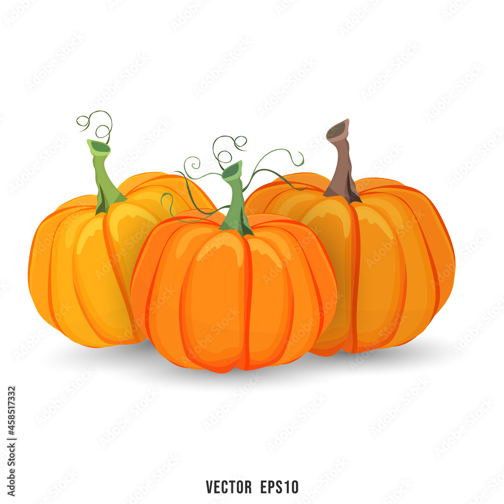 Three pumpkins of three different colors isolated on white background for content online or web, banner and template , Flat cartoon flat style. illustration Vector EPS 10 Three pumpkins of three different colors isolated on white background for content online or web, banner and template , Flat cartoon flat style. illustration Vector EPS 10