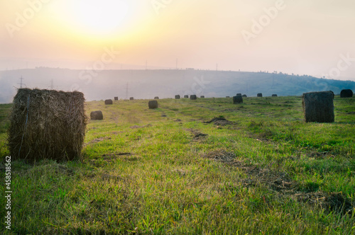 sunrise over the field