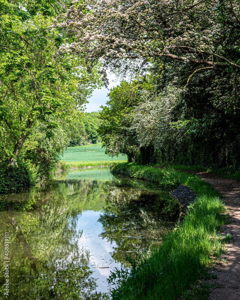 Quiet canal in summer surrounded by trees and fields in the UK countryside Quiet canal in summer surrounded by trees and fields in the UK countryside