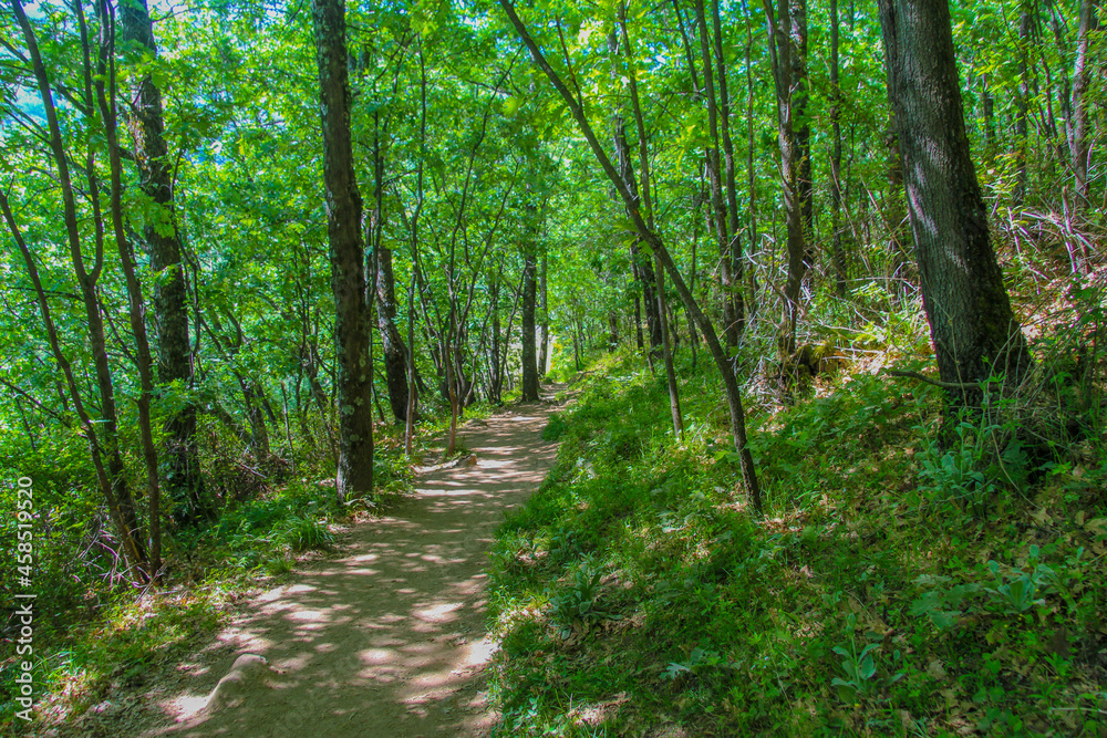 Fototapeta premium Parque Natural de Valle del Jerte, Extremadura