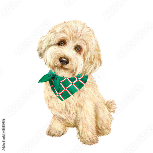 Watercolor portrait of a goldendoodle dog, animal, pet, curly shaggy dog, golden color 
