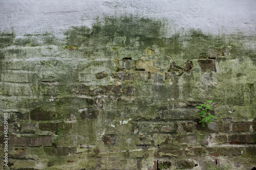 Valokuva Ancient mossy monastery wall, brickwork, blurred background
