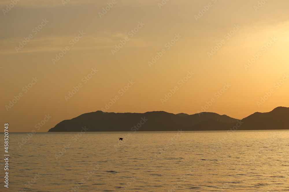 海鳥と瀬戸内海のオレンジ色の夕陽