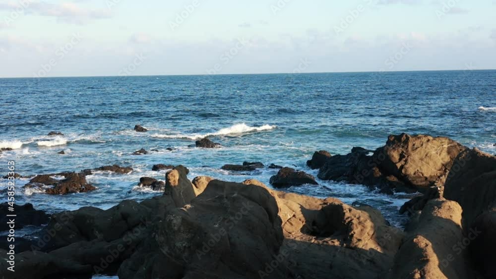 千葉県 野島崎公園 千葉県 野島崎公園