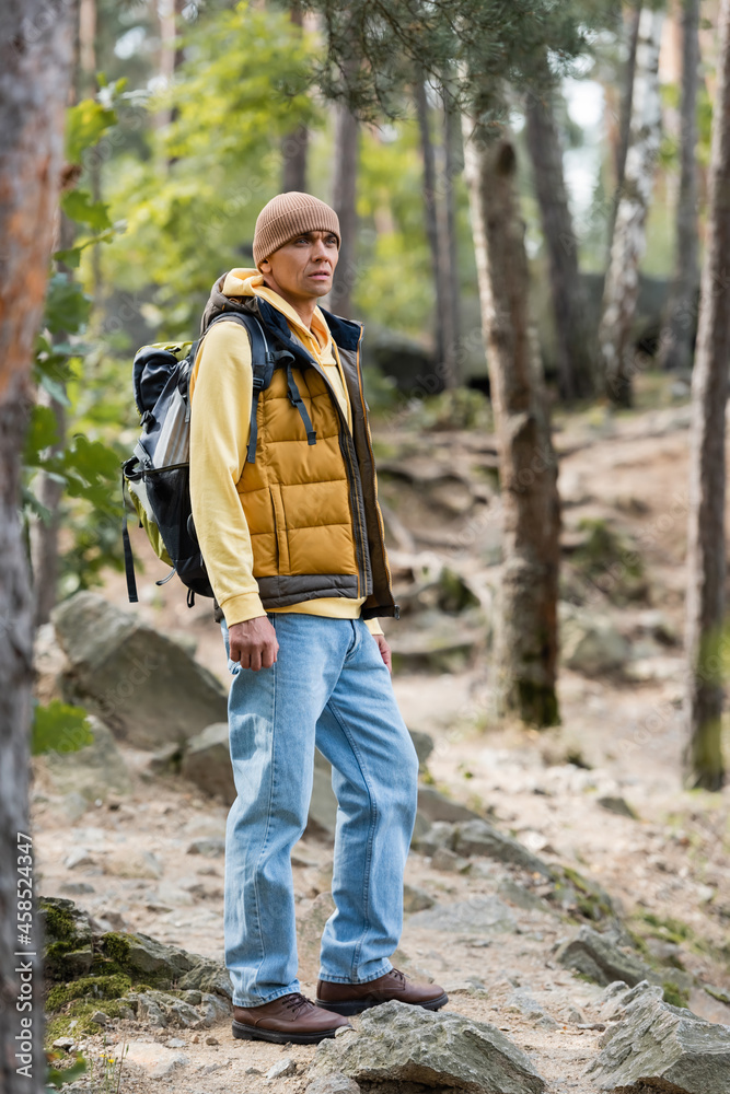 full length view of traveler in warm vest and jeans looking away on trail in forest