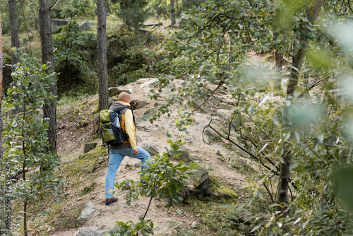 high angle view of hiker with backpack on trail in forest