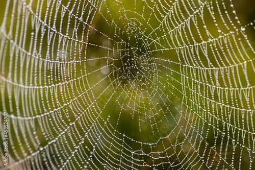 Cobweb with dew drops. Can be used as background