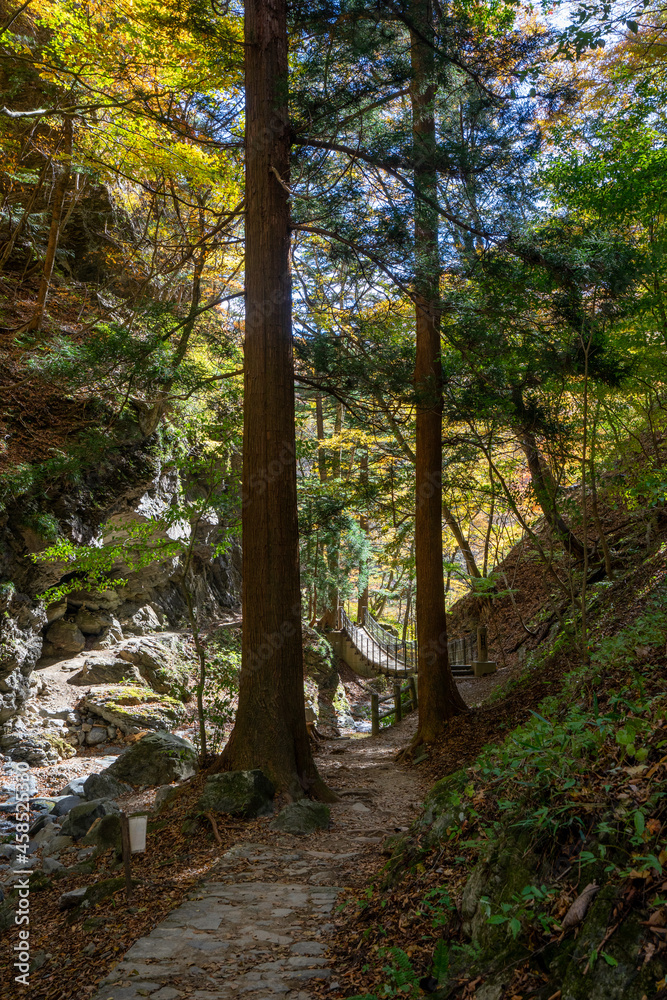 那須塩原 渓谷の紅葉 那須塩原 渓谷の紅葉