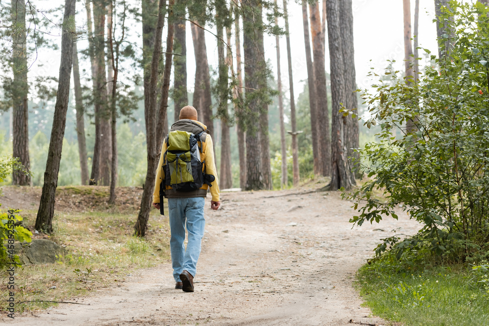 back view of hiker with backpack walking on trail in forest back view of hiker with backpack walking on trail in forest