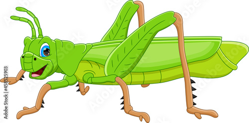 Fototapeta Naklejka Na Ścianę i Meble -  cartoon cute grasshopper isolated on white background