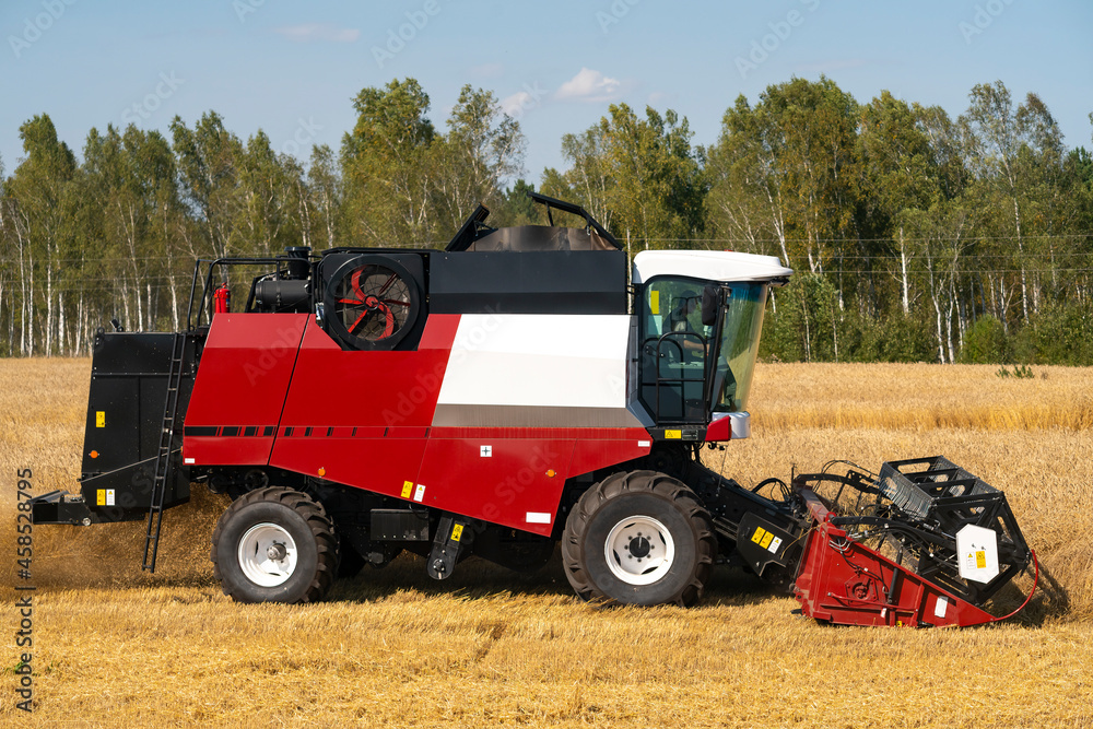 Fototapeta premium The red and white harvester is harvesting yellow wheat.