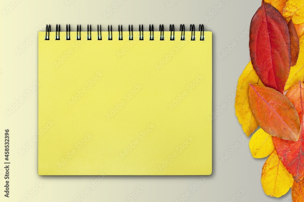 One page of the blank monthly calendar on the desk Stock Photo | Adobe ...