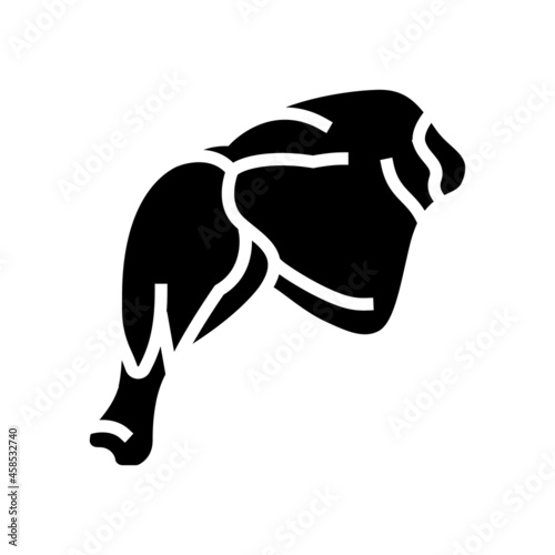 whole leg chicken glyph icon vector. whole leg chicken sign. isolated contour symbol black illustration