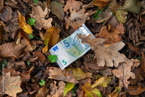 Vista ad alto angolo di una banconota da 5 euro su un tappeto di foglie secche. Albero dei soldi... photo