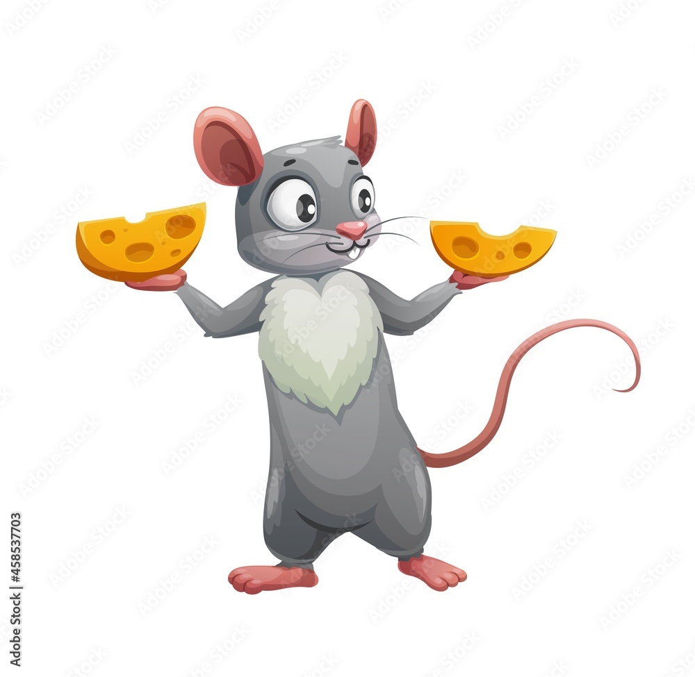 Cartoon mouse and two halves of cheese. Vector cute rat or mouse, hungry  rodent animal character holding wedges of swiss cheese, little grey mouse  with pink ears, tail and white chest Stock
