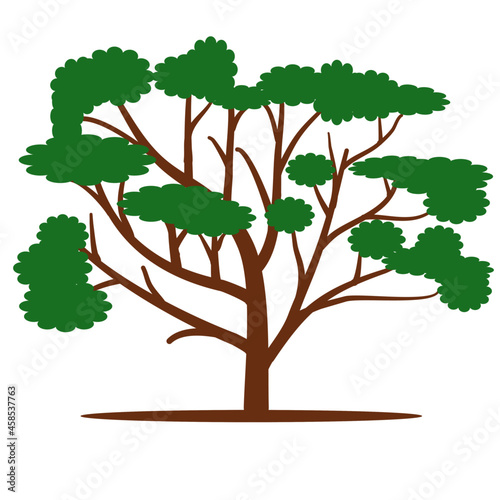 Realistic tree collection isolated on white background, trees and roots with green leaves look beautiful and fresh. tree logo style and
of tree illustrations It can be used to showcase natural topics 