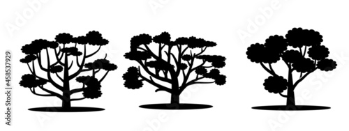 Tree Silhouette Design This design can be used for design components. Can be corrected again. Tree shadow. Brown maple, oak, poplar, birch