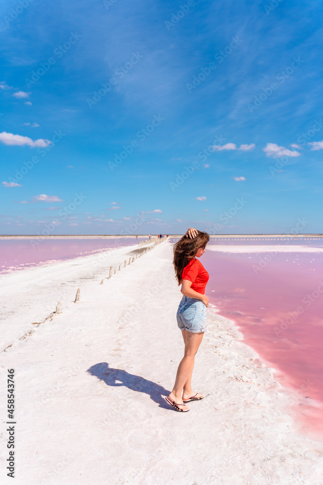 A beautiful young woman walking along the shore of a salty pink lake with a blue sky. The concept of serenity A beautiful young woman walking along the shore of a salty pink lake with a blue sky. The concept of serenity