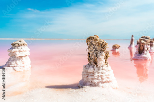 Fototapeta Naklejka Na Ścianę i Meble -  Salt on a wooden stick on a pink lake close-up. Serene landscape