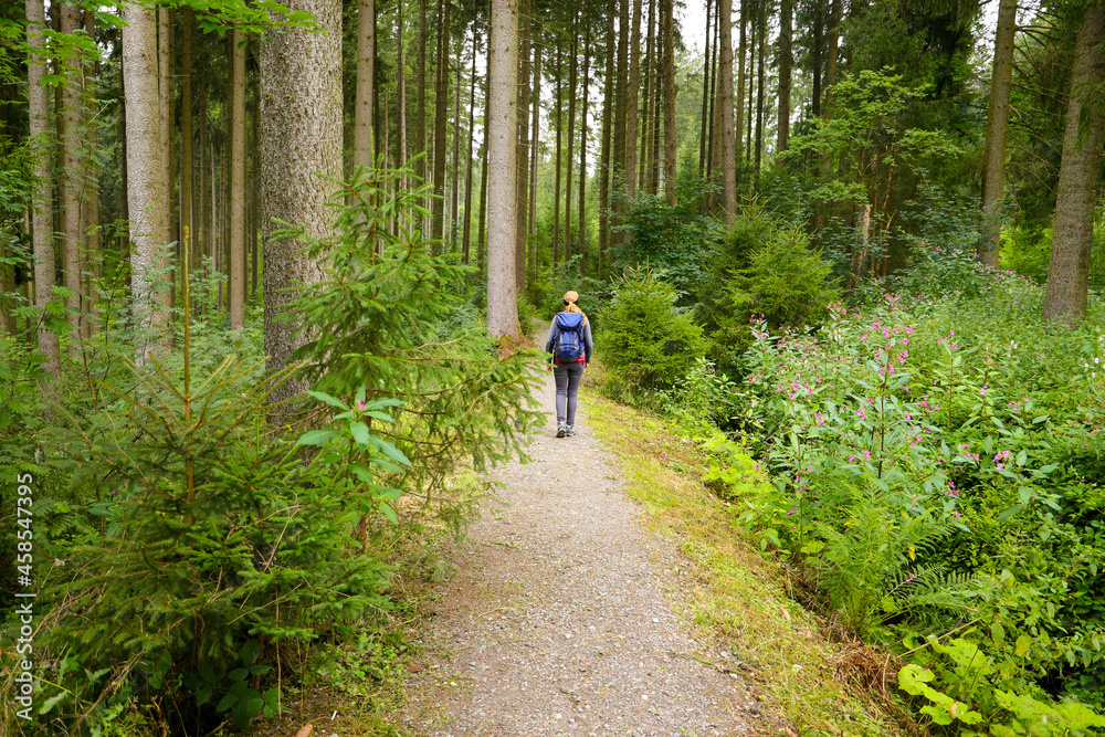 Hiking on hiking trail 