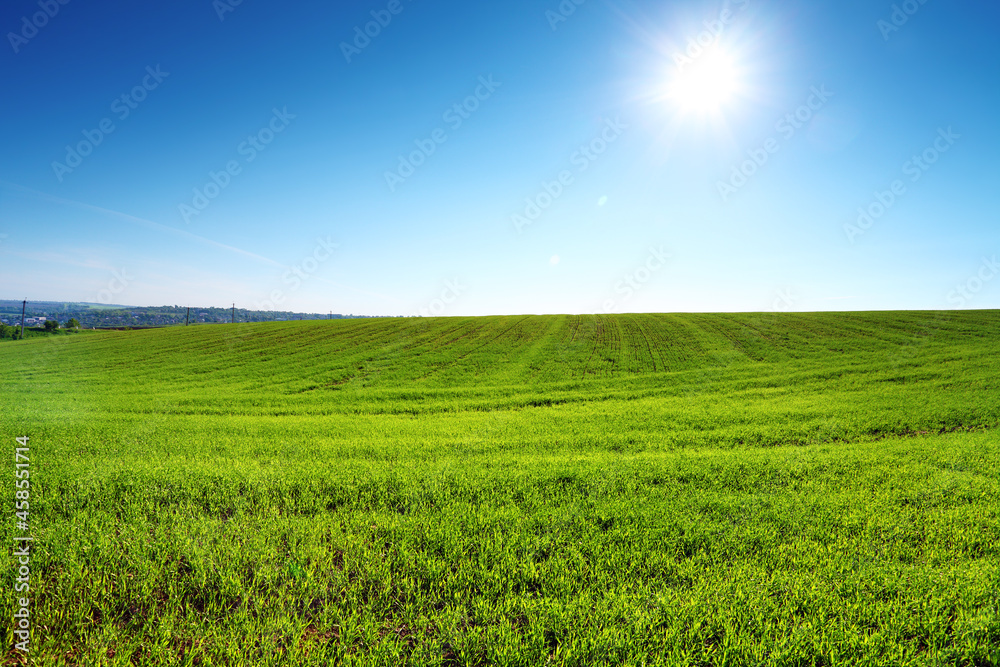 green field and sun on blue sky, springtime landscape