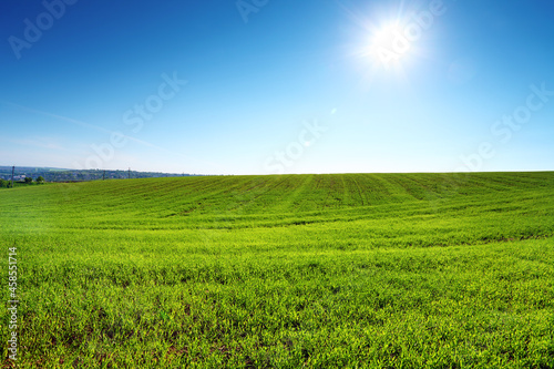 green field and sun on blue sky, springtime landscape