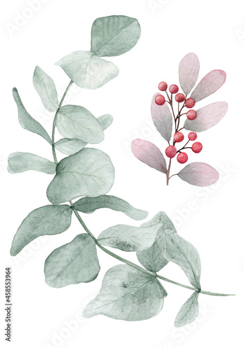 Watercolor eucalyptus leaf, Watercolor floral illustration set . Green leaf branches collection, for wedding stationary, greetings, wallpapers, background. Eucalyptus, green leaves, etc.