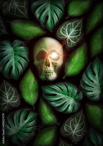 Exotic palm leaves with skull