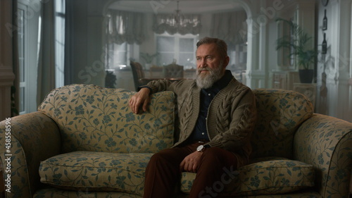 Handsome senior man thinking sofa in cozy living room. Wealth wisdom calmness
