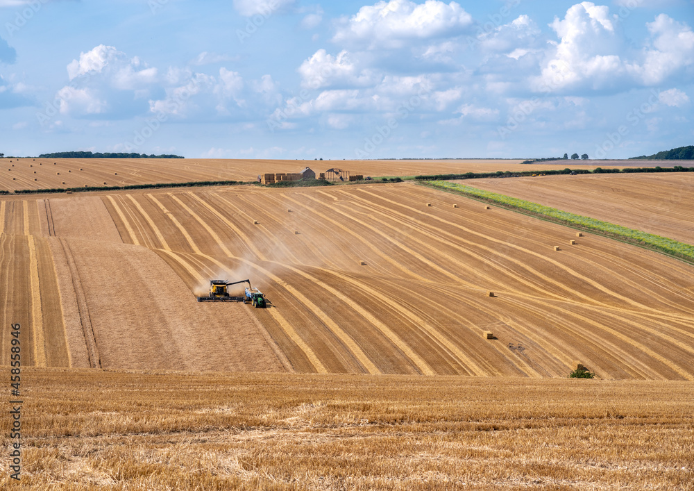 Crop havesting with combine and tractor on a dry sunny day