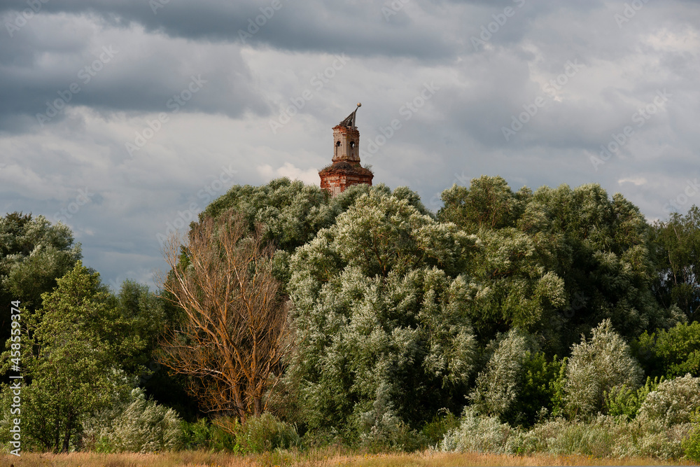 A very high abandoned and partially destroyed center with a bell tower in dense thickets of tall trees A very high abandoned and partially destroyed center with a bell tower in dense thickets of tall trees