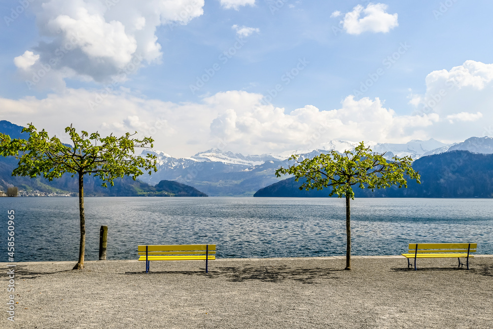 Obraz premium Weggis, Vierwaldstättersee, Seeufer, Dorf, Parkbank, Rigi, Bürgenstock, Buochshorn, Klewenalp, Wanderweg, Weggiserbecken, Frühling, Schweiz